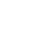 Exper Tus Leather