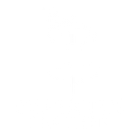Exper Tus Leather